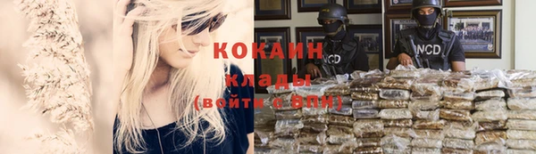 стафф Козловка