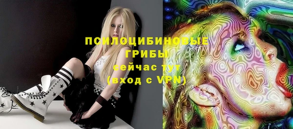 стафф Козловка