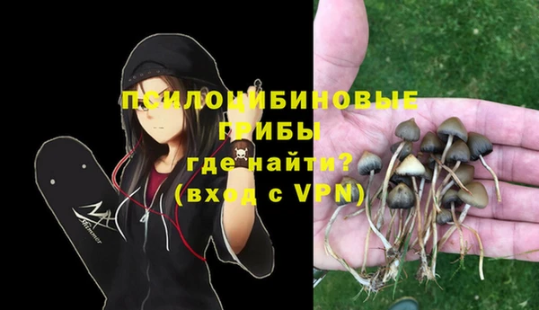 не бодяженный Кодинск