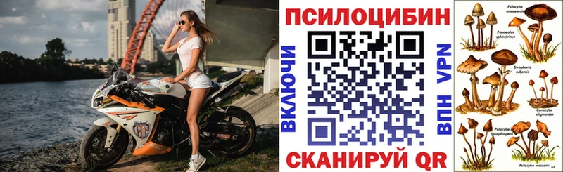 Галлюциногенные грибы прущие грибы  Купить где  Духовщина 